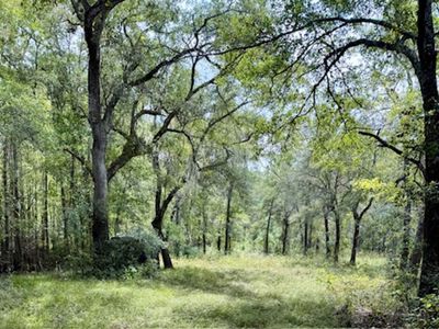 140 Waccamaw River Dr., Conway, SC, 29526