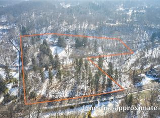 3166 Yellow Creek Rd, Akron, OH 44333