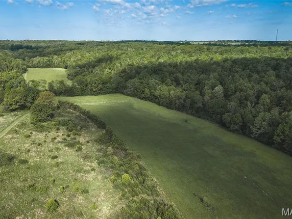 1 State Highway Off, Edgar Springs, MO 65462
