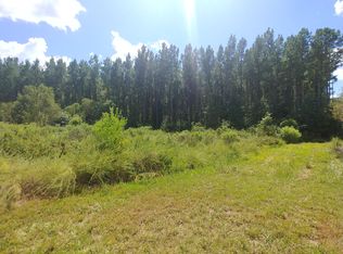 1303 Wood Sorrel Dr, Moncks Corner, SC 29461