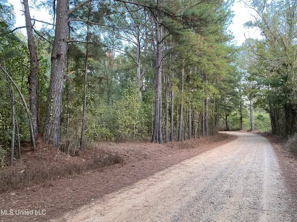 Kerr Rd, Carthage, MS 39051