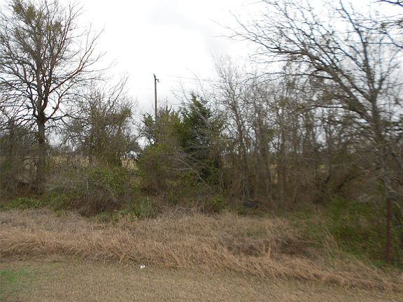 3rd image of 6612 Williamson Rd