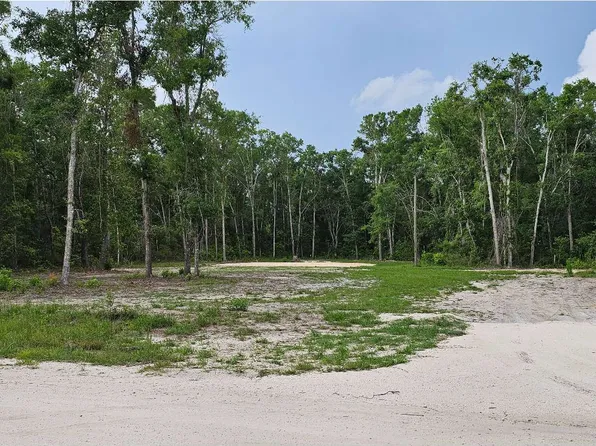 288th Ter, Branford, FL 32008