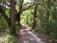 2nd image of 3426 Knights Station Rd