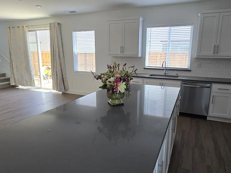 3217 Shrute Dr — Photo 4