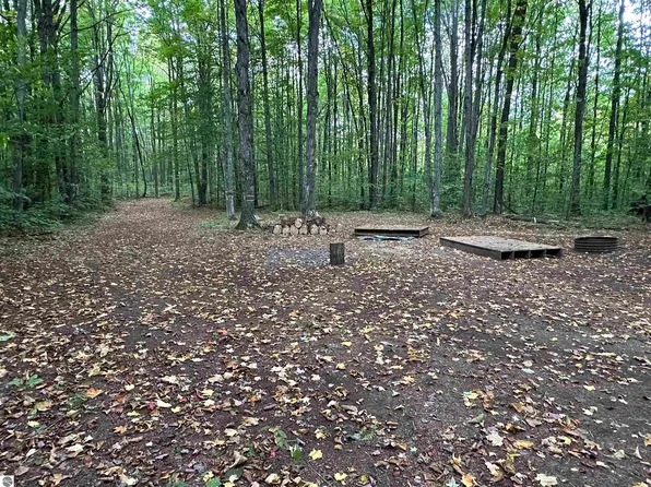 0 Trail 21, Mancelona, MI 49659