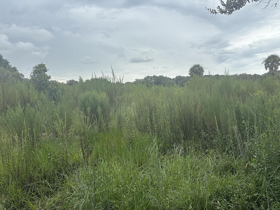 2nd image of 0 294th Street