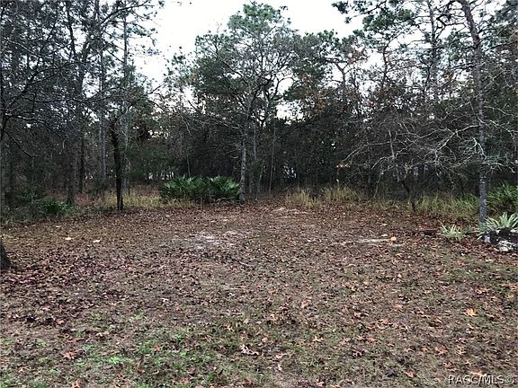 3rd image of 71 Corkwood Blvd