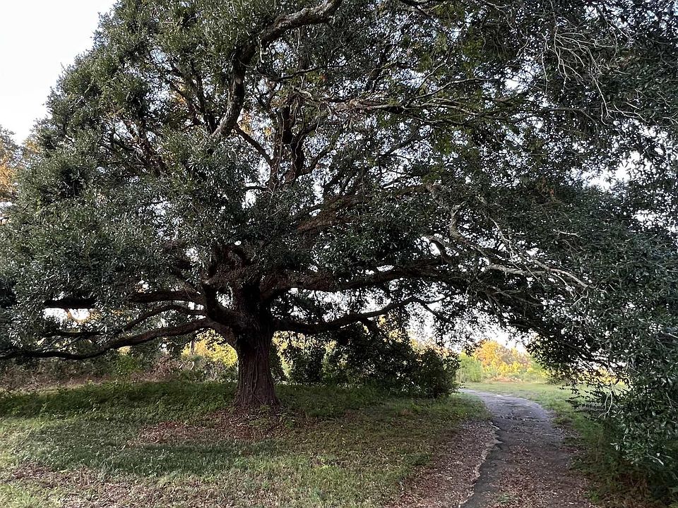 LOT B Commerce St 1, Saint Francisville, LA 70775 MLS 2023016320