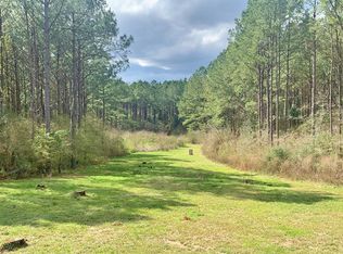 95 Hurricane Creek Rd, Sandy Hook, MS 39478