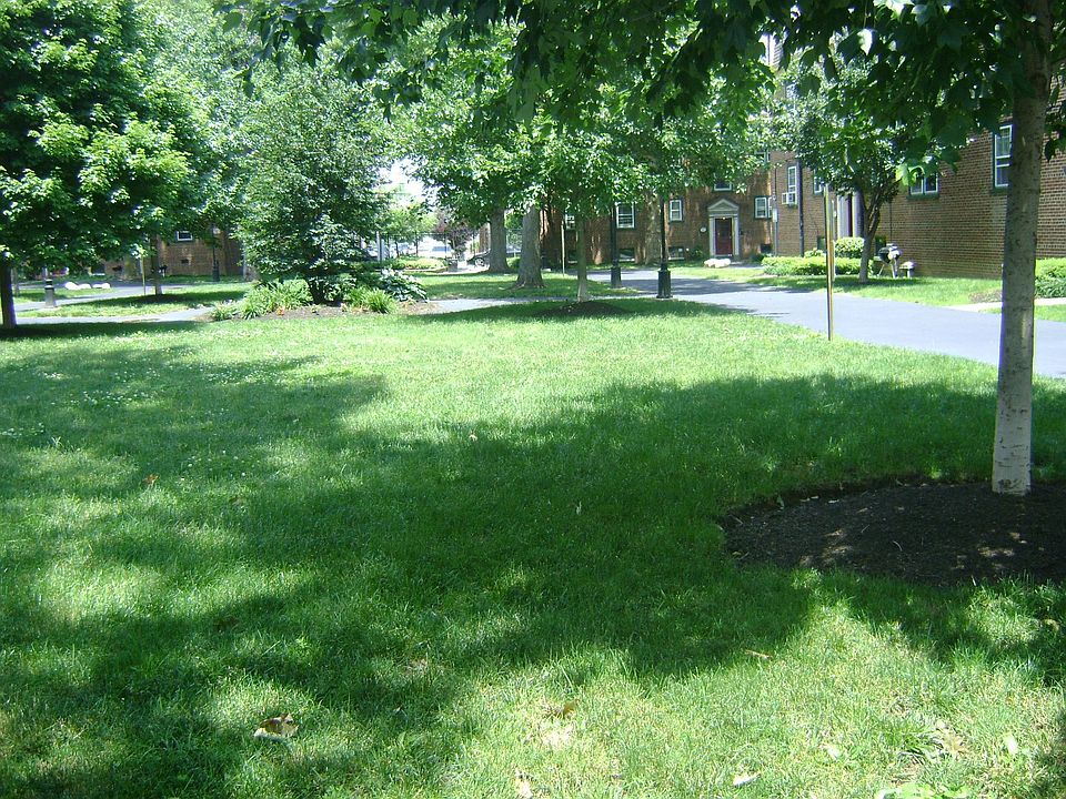 Lawn Area