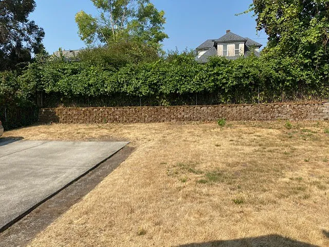 Backyard and Parking