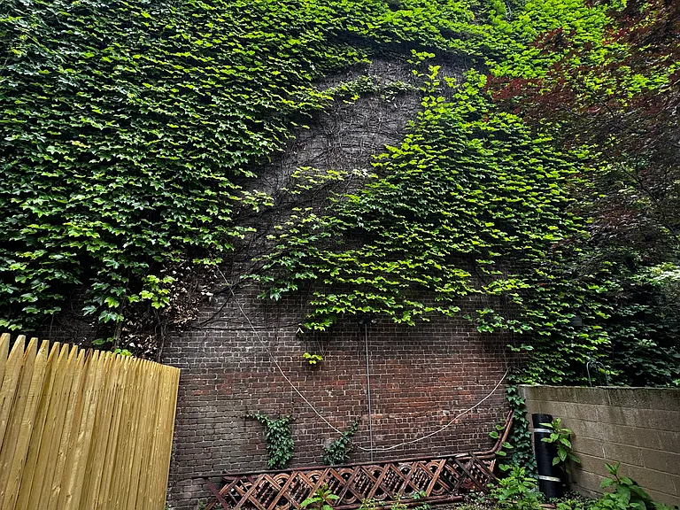269 Alexander Ave #1B — Photo 13