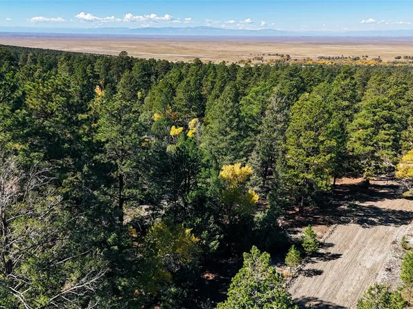 54 & 56 Big Bear Road, Mosca, CO 81146