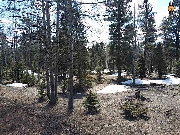 5th image of 1045 Starshine Overlook