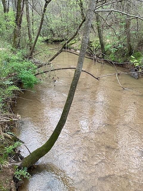 1st image of 0 Old Dahlonega Hwy Lot 0