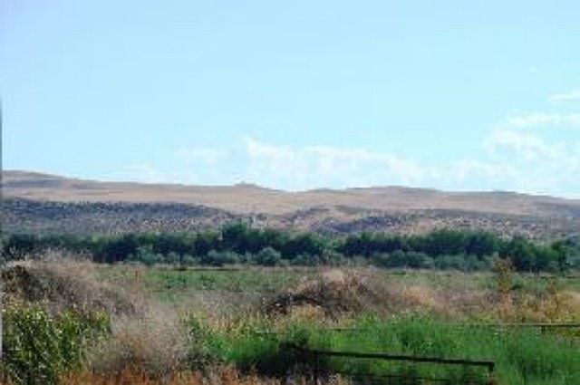 2nd image of Tbd Island Rd