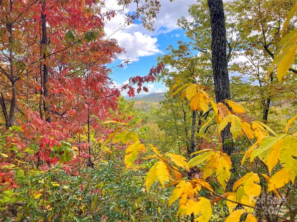 57 Grouse Ridge Dr, Black Mountain, NC 28711