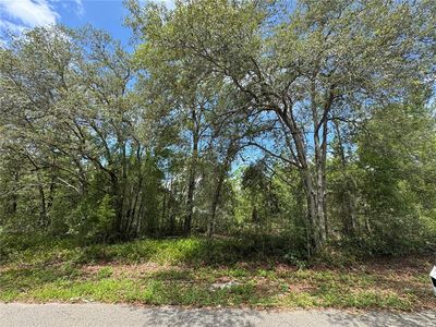 0 Fisher Lane Way LOT 8, Ocklawaha, FL, 32179