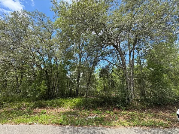 0 Fisher Lane Way Lot 8, Ocklawaha, FL 32179