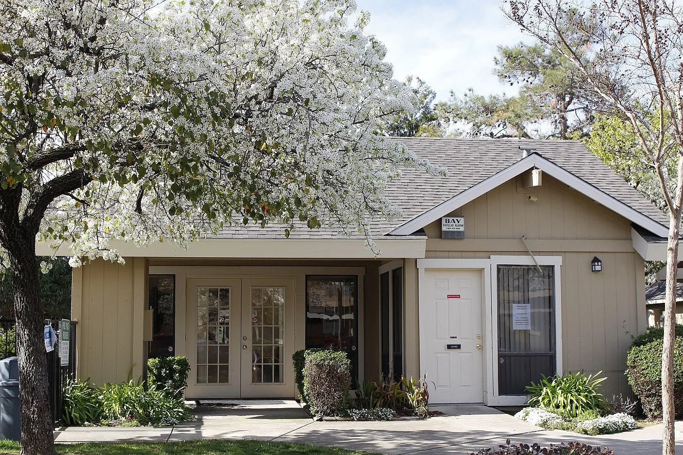 Willow Glen — Photo 1