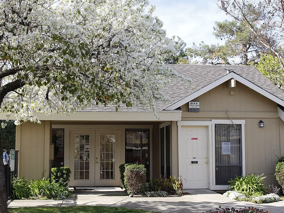 Willow Glen