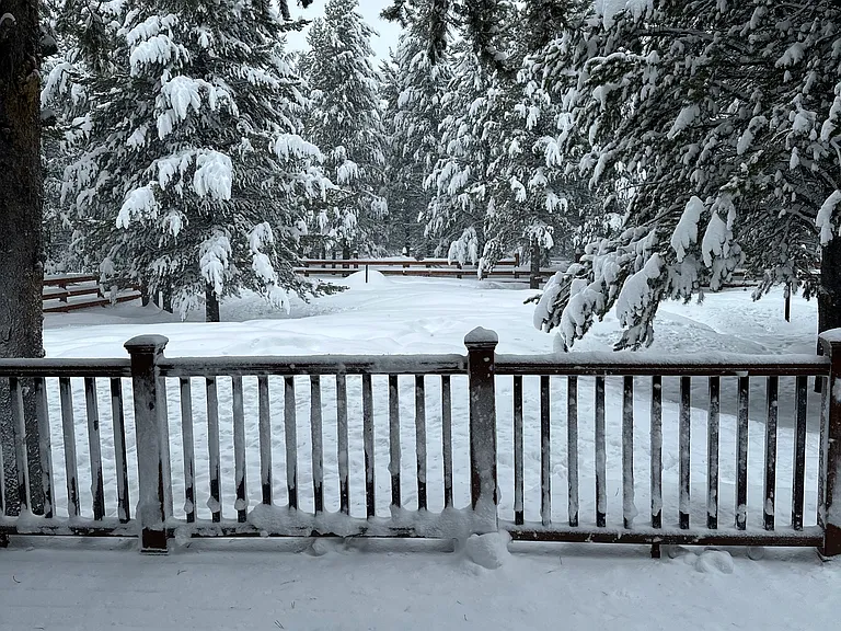 Back porch overlooking woods