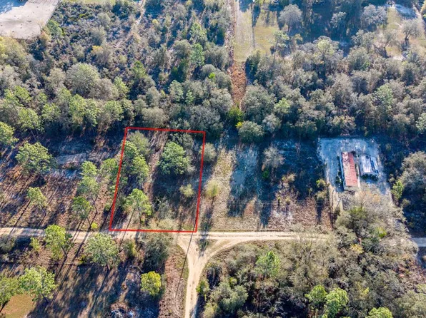 000 NE 134th Ct, Williston, FL 32696