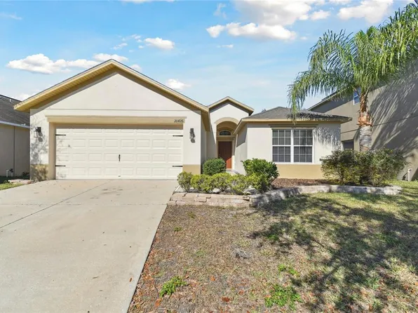 20426 Autumn Fern Ave, Tampa, FL 33647