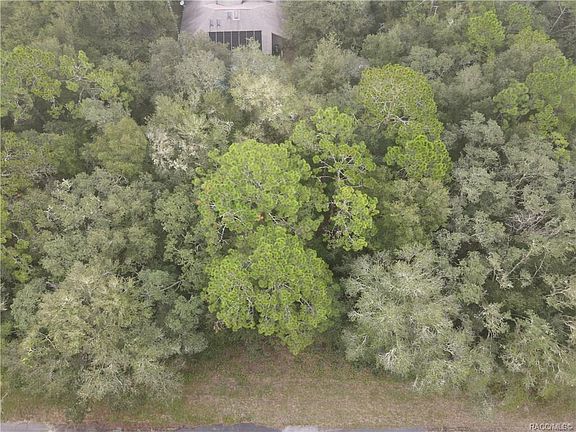 3rd image of 8819 N Cortlandt Dr