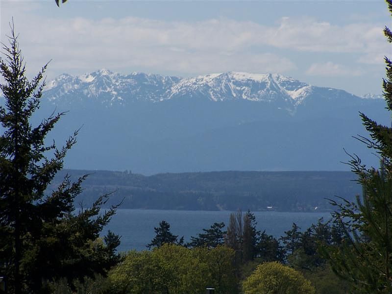 Olympic Mountain/Water View