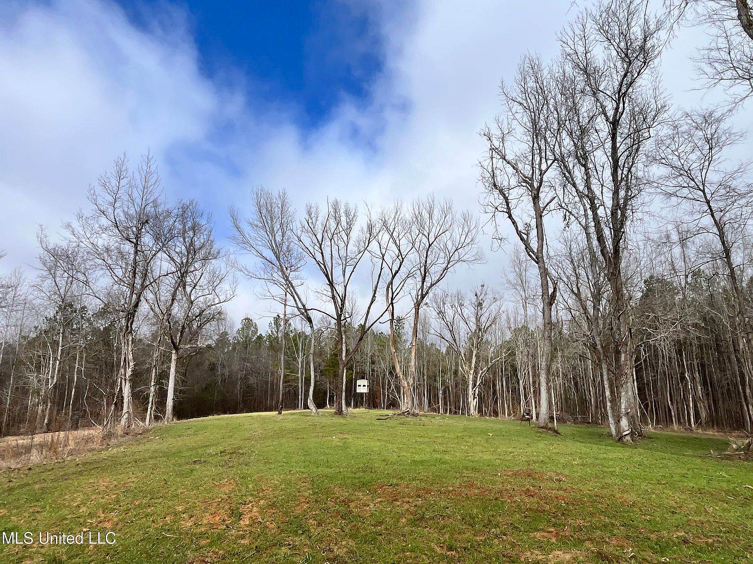 County Road 169, Maben, MS 39750 MLS 4069761 Zillow