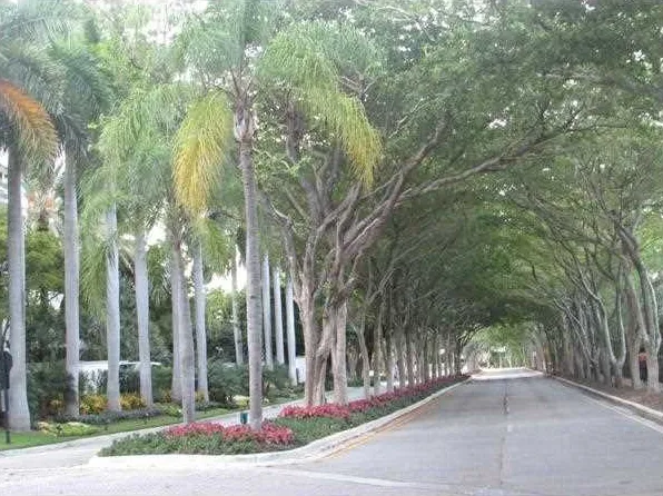1000 Island Blvd #2103, Aventura, FL 33160