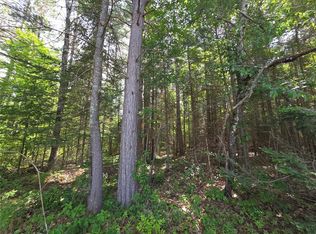 LOT 1 Solberg Lake Rd, Phillips, WI 54555