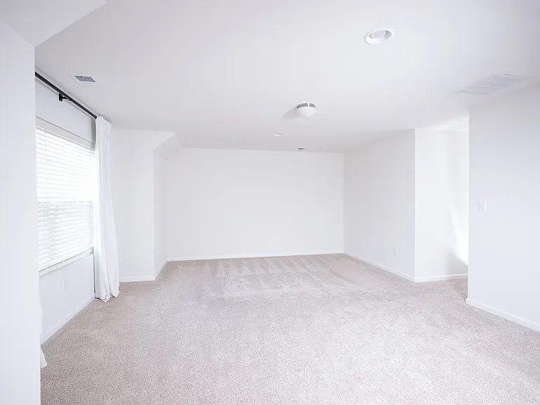 245 Hollyhock Dr — Photo 28