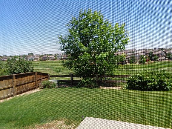 Backyard to the left