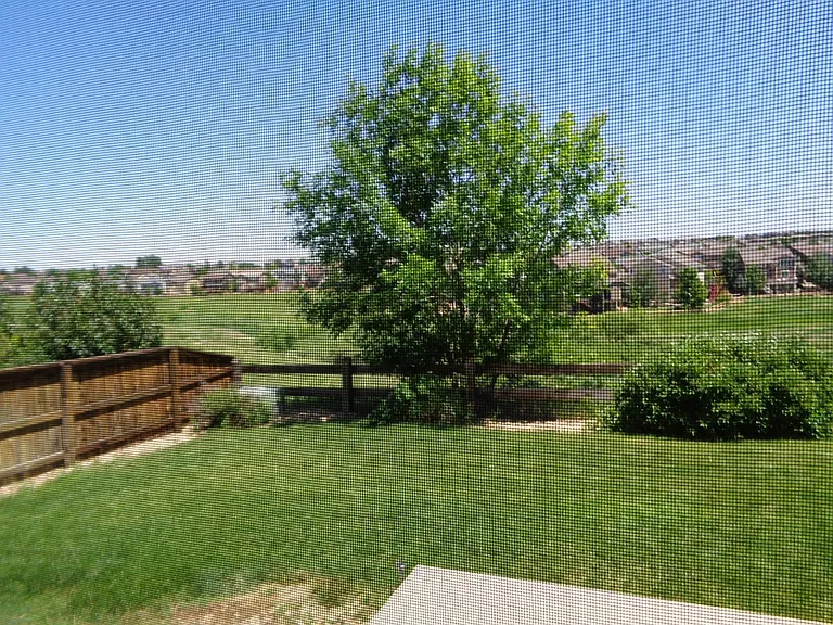 Backyard to the left