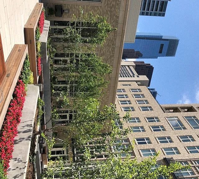 The Alexander — Photo 8