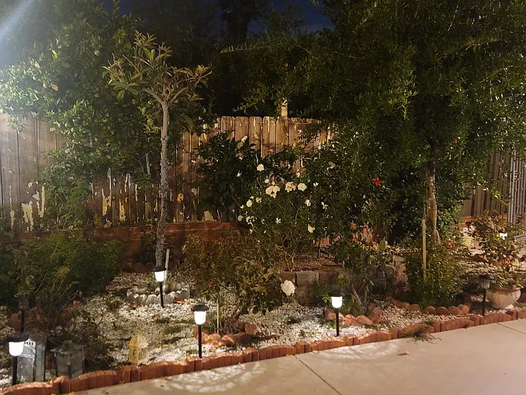10019 Tujunga Canyon Blvd — Photo 2