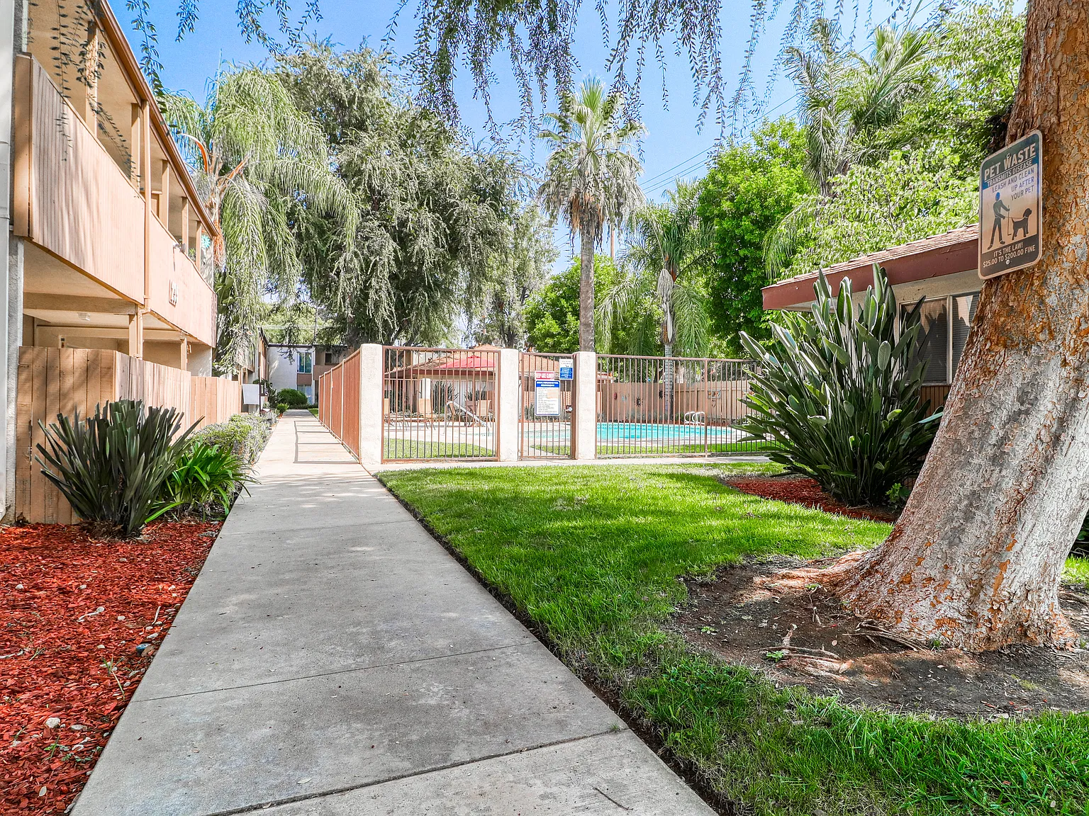 East Cypress — Photo 4