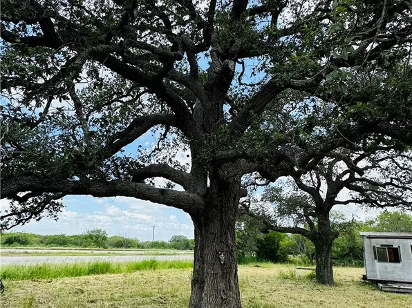 0 County Road 623 #&-624, Skidmore, TX 78389