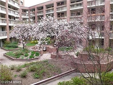 View From This Lovely Condo