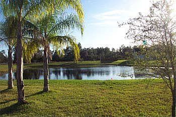 your new back yard
