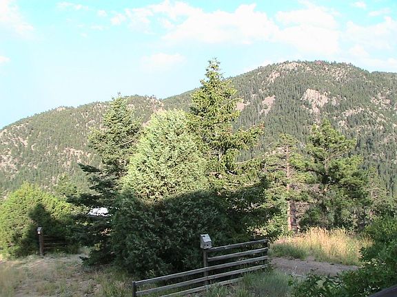 East facing view