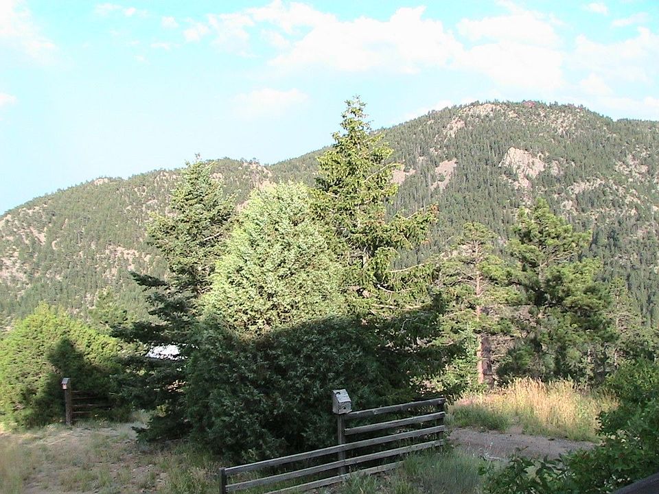 East facing view