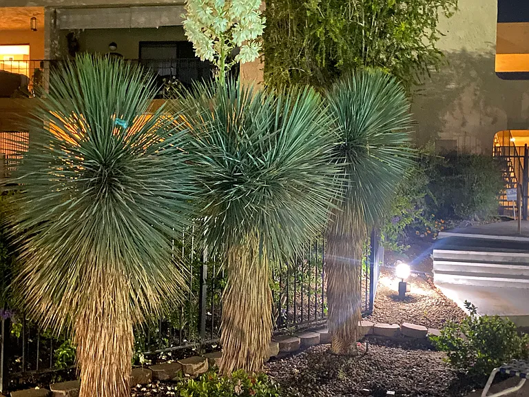 5300 E Waverly Dr — Photo 17
