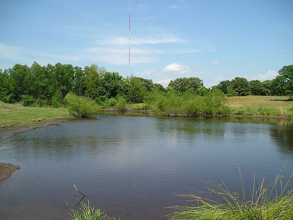 Large Pond