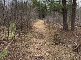 0 W Slosser Trl, Hale, MI 48739