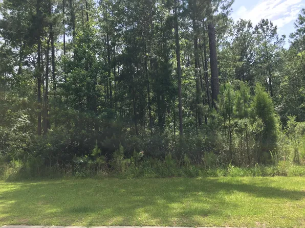 231 Summer Breeze Way, Moncks Corner, SC 29461