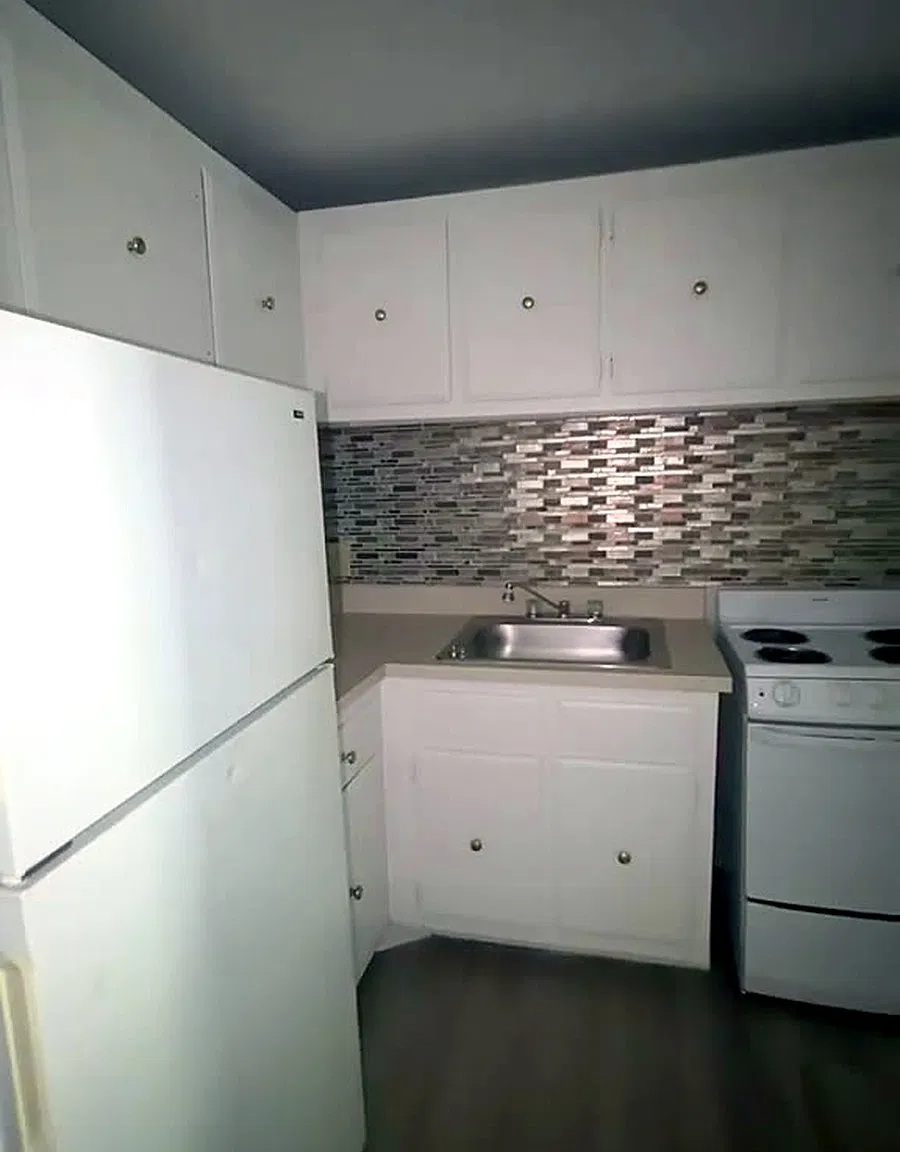 1 bed, 650 sqft, $1,250 — Photo 3